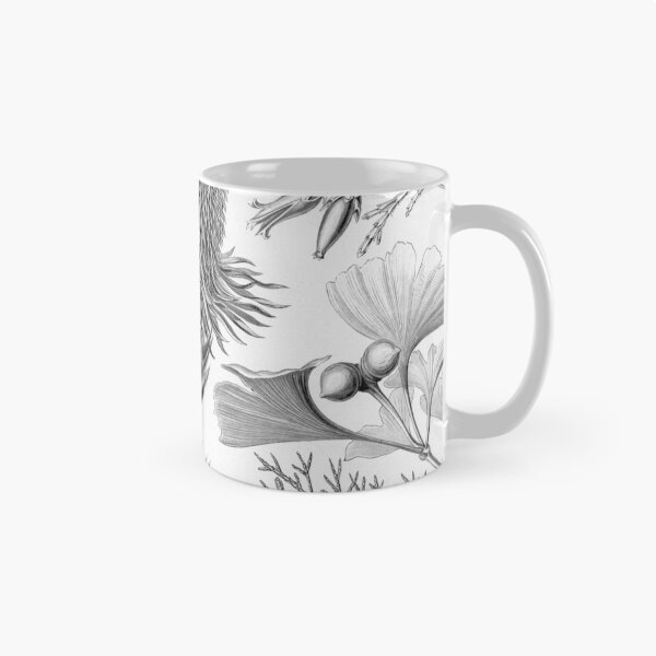 Item preview, Coniferae - Ernst Haeckel  designed and sold by billythekidtees.