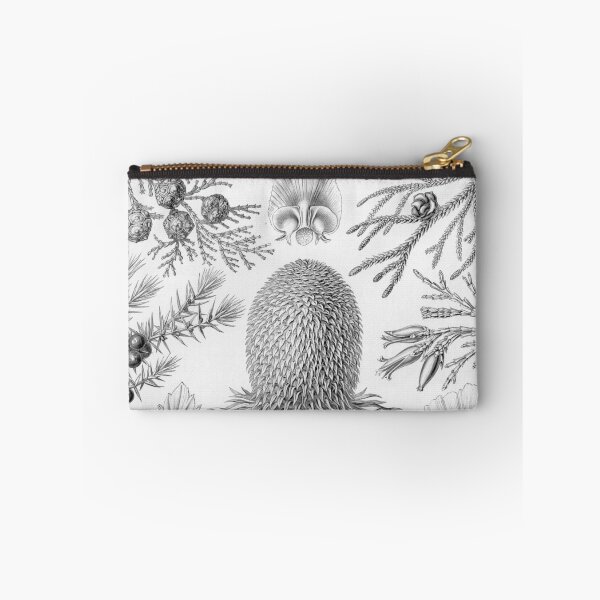 Item preview, Coniferae - Ernst Haeckel designed and sold by billythekidtees.