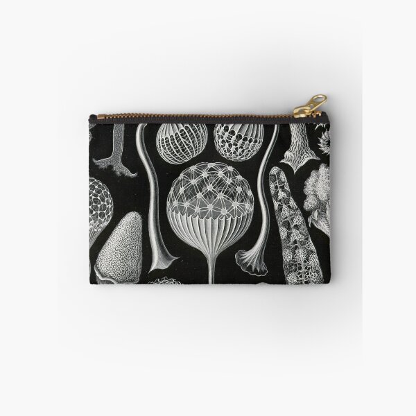 Item preview, Mycetozoa - Ernst Haeckel  designed and sold by billythekidtees.