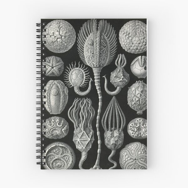 Item preview, Cystoidea - Ernst Haeckel  designed and sold by billythekidtees.