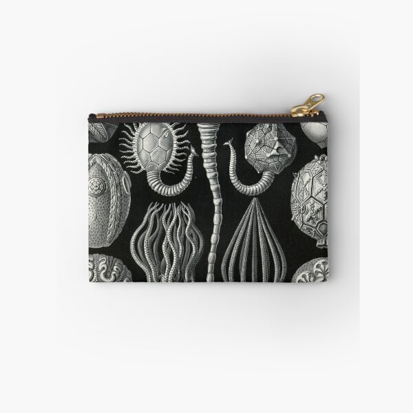 Item preview, Cystoidea - Ernst Haeckel  designed and sold by billythekidtees.