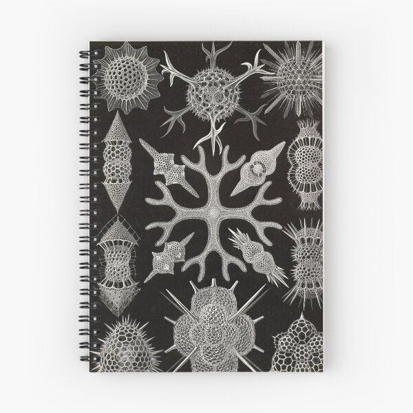 Item preview, Spumellaria - Ernst Haeckel  designed and sold by billythekidtees.