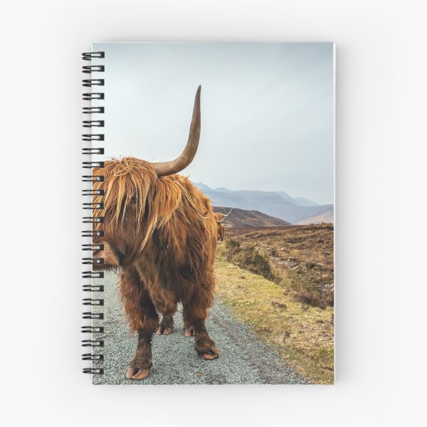 Item preview, Highland Cow, Isle of Skye designed and sold by Jim Monk.