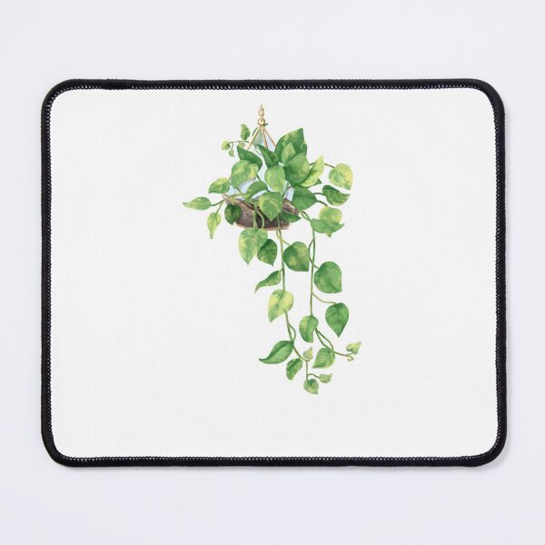 Item preview, Golden Pothos designed and sold by zaher97.