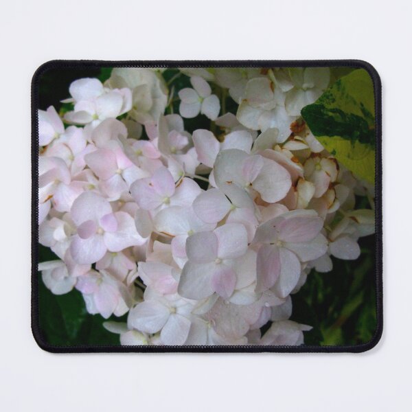 Item preview, Hidden pinks designed and sold by MarianBendeth.