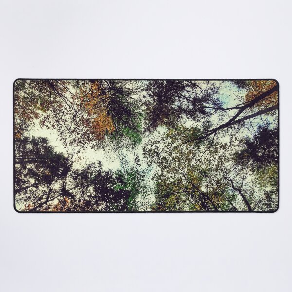 Item preview, Sepia Edited and Colourful Forest Trees in Autumn/Fall designed and sold by SarahJisri.