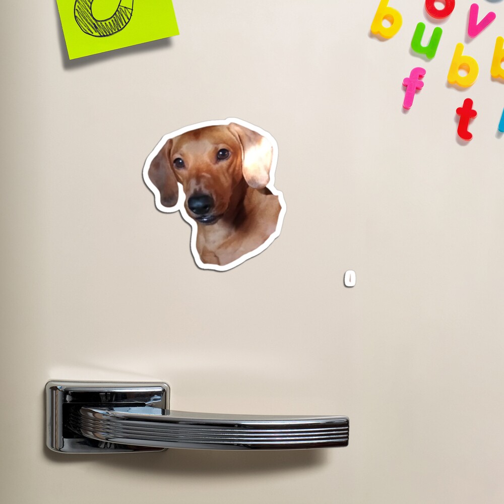 Pin on dogdesignershop