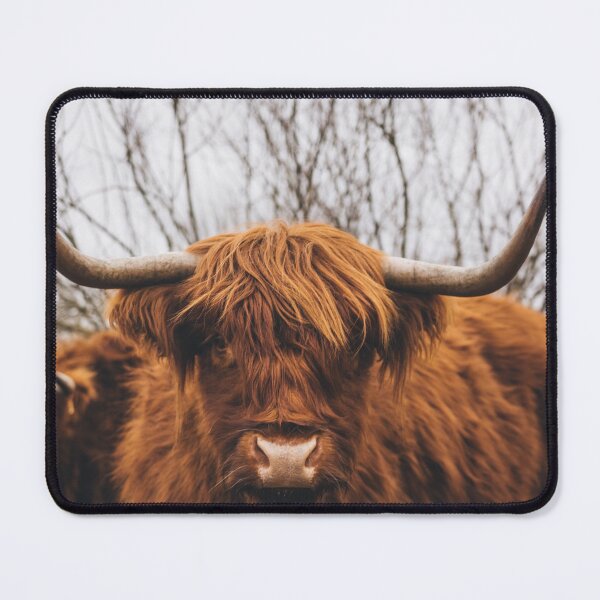 Item preview, Highland Cow Real Life designed and sold by AnimalLover4eva.