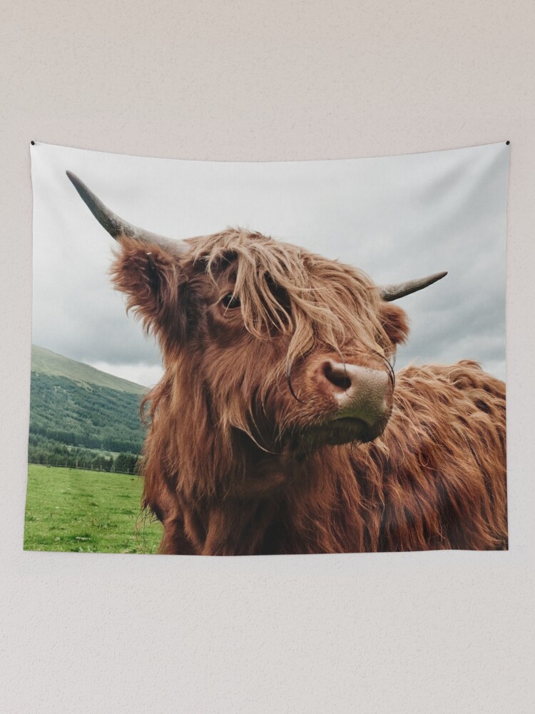 Highland outlet cow tapestry