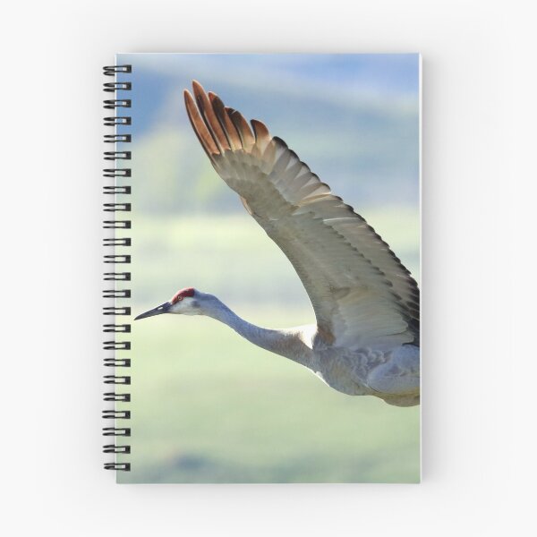 Item preview, Sandhill Crane designed and sold by Alyce Taylor.
