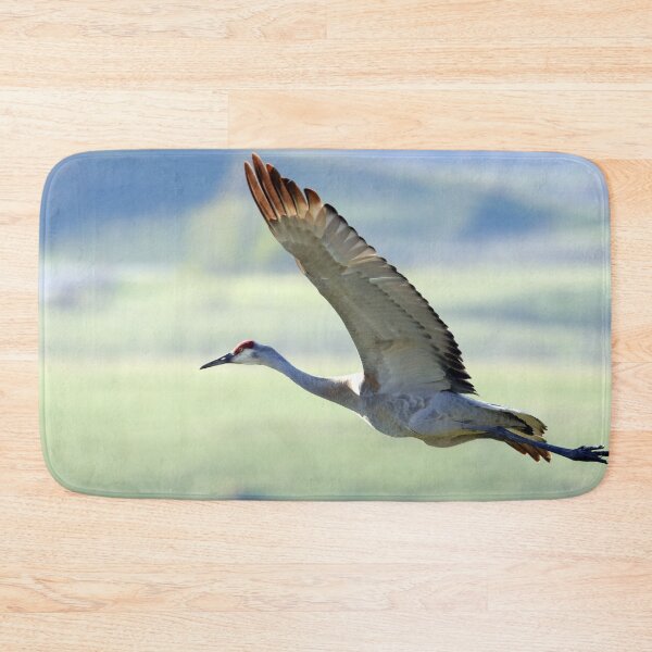 Item preview, Sandhill Crane designed and sold by Alyce Taylor.
