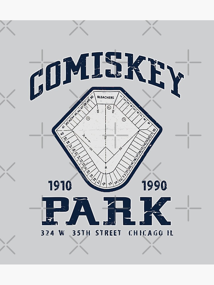 11 X 14 Comiskey Park Chicago White Sox Photo