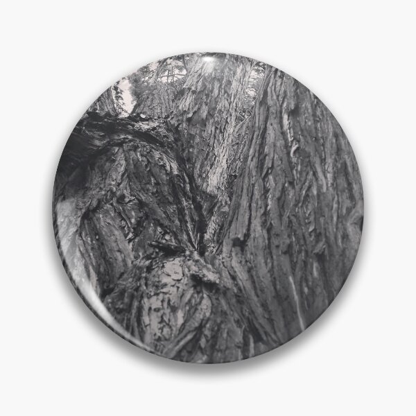 Artikelvorschau, Zedernbaum in Schwarz & Weiß entworfen und verkauft von Douglas E. Welch Design and Photography.