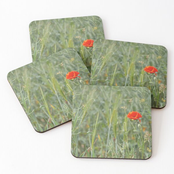 Item preview, Red tender poppies in a ripe wheat field, autumn landscape designed and sold by Alexander Sorokopud.