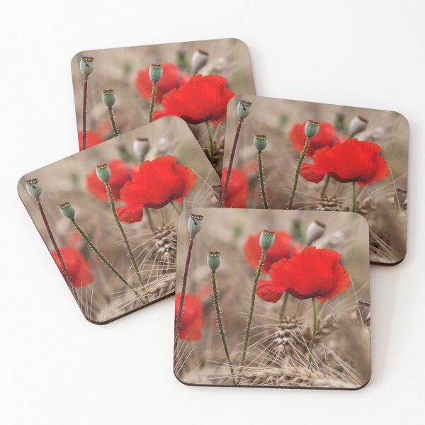 Item preview, Red tender poppies in a ripe wheat field, autumn landscape designed and sold by Alexander Sorokopud.