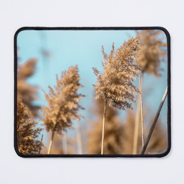 Item preview, Tall wheat grass designed and sold by immortalzoddo.