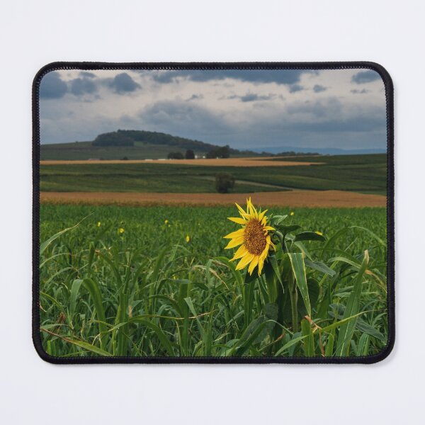 Item preview, Yellow sunflowers in the fields of Alsace. Autumn in nature. designed and sold by Alexander Sorokopud.