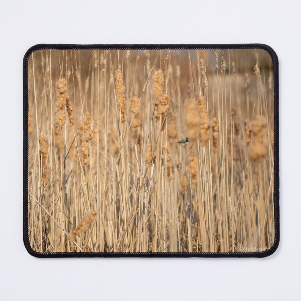 Item preview, Tall grass 2 designed and sold by immortalzoddo.