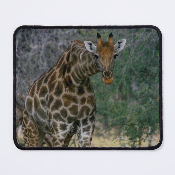 Item preview, Giraffe Staredown designed and sold by KarenZuk.