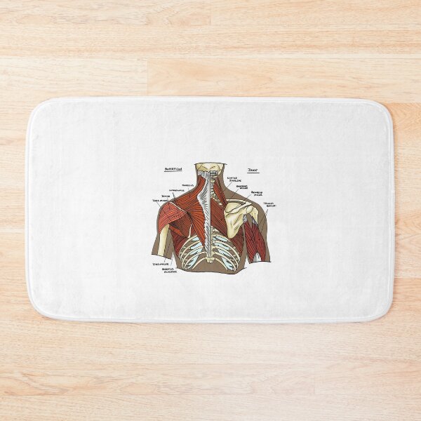 Item preview, Labeled Muscular anatomy of the upper back designed and sold by faolansforge.