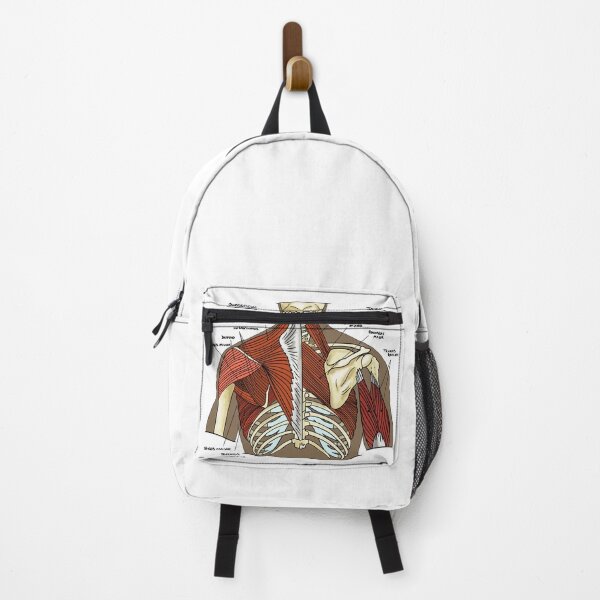 Item preview, Labeled Muscular anatomy of the upper back designed and sold by faolansforge.