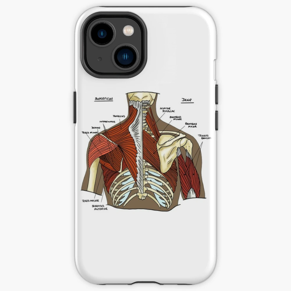 Female Chest Muscles With Labels iPhone 12 Case