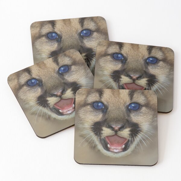 Item preview, Mountain Lion Kitten Mouth Mask Cute Animal Smile Funny Kawaii designed and sold by ShumShumShop.