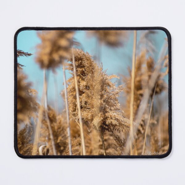 Item preview, Tall wheat grass 1 designed and sold by immortalzoddo.