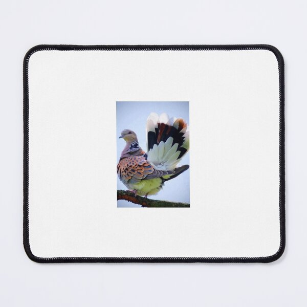 Item preview, The European Turtle Dove designed and sold by Rashkin.