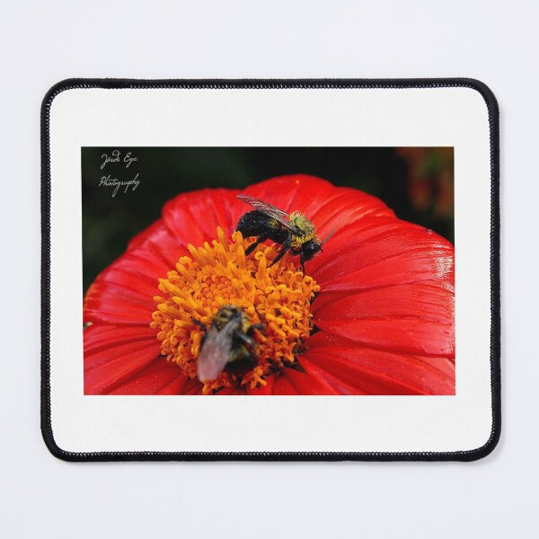 Item preview, Always busy designed and sold by JordsEyePhoto.