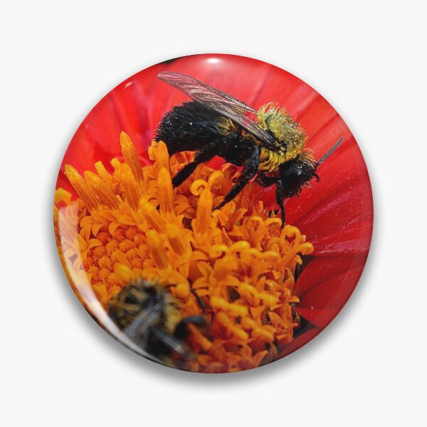 Item preview, Always busy designed and sold by JordsEyePhoto.