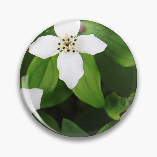 Item preview, Bunchberry designed and sold by Alyce Taylor.