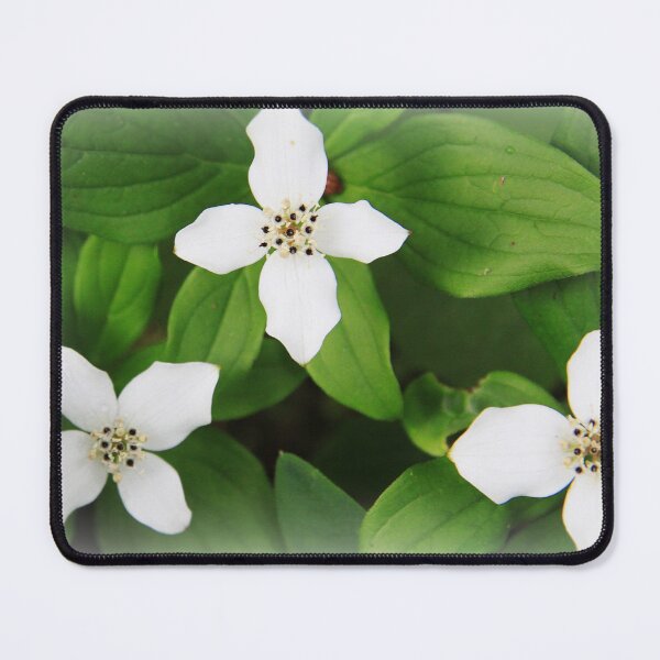 Item preview, Bunchberry designed and sold by Alyce Taylor.