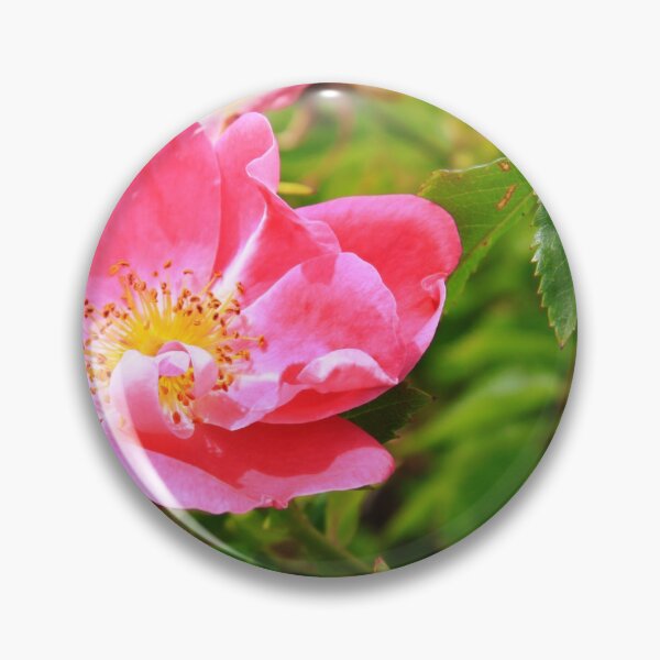Item preview, Wild Rose designed and sold by Alyce Taylor.