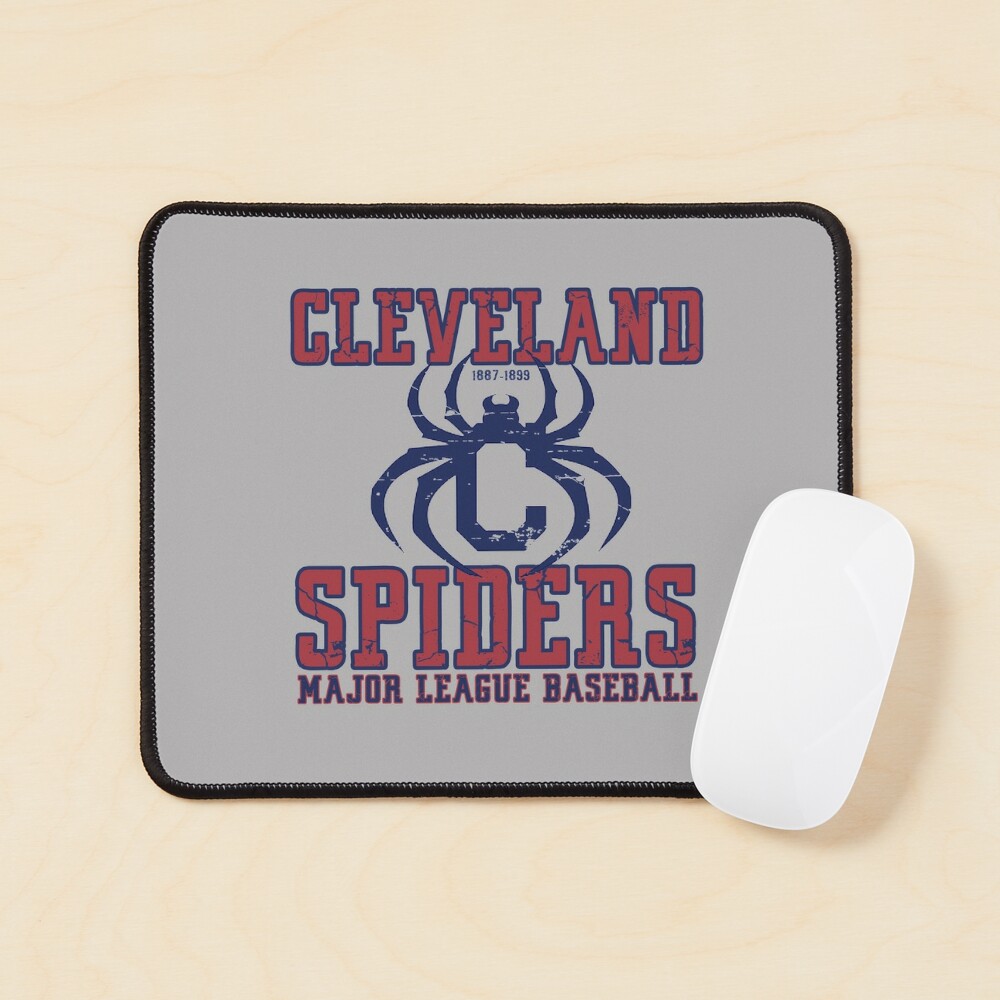 Retro Defunct Cleveland Spiders Baseball Poster for Sale by