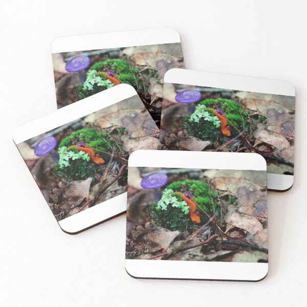 Item preview, Chillin designed and sold by JordsEyePhoto.