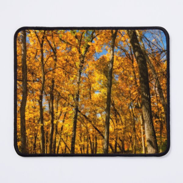 Item preview, Woodland cathedral in orange and gold designed and sold by Joel Bader.