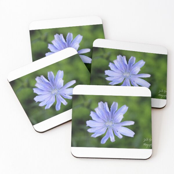 Item preview, Straw flowers  designed and sold by JordsEyePhoto.
