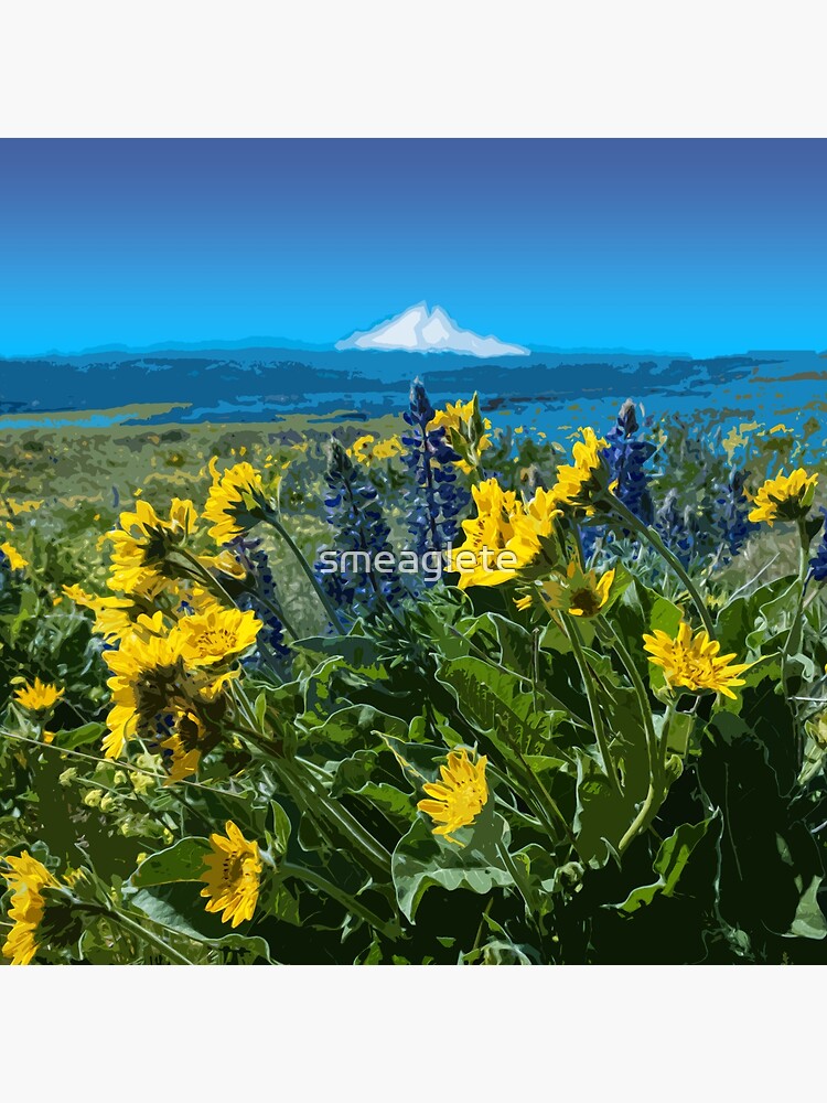&ldquo;Wildflowers of the Columbia River Gorge Poster&rdquo; Poster for Sale by