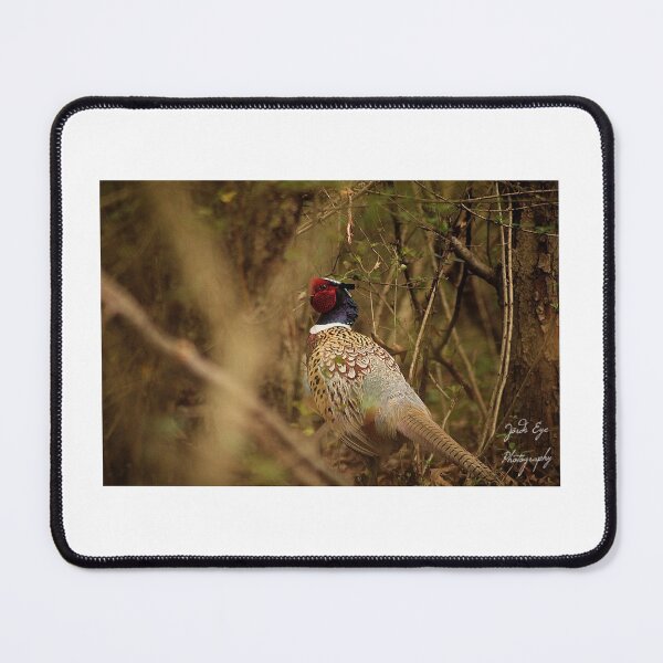 Item preview, Regal designed and sold by JordsEyePhoto.