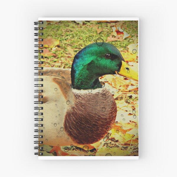 Artikelvorschau, Duck in tiefen Gedanken entworfen und verkauft von Stephanie Wood.