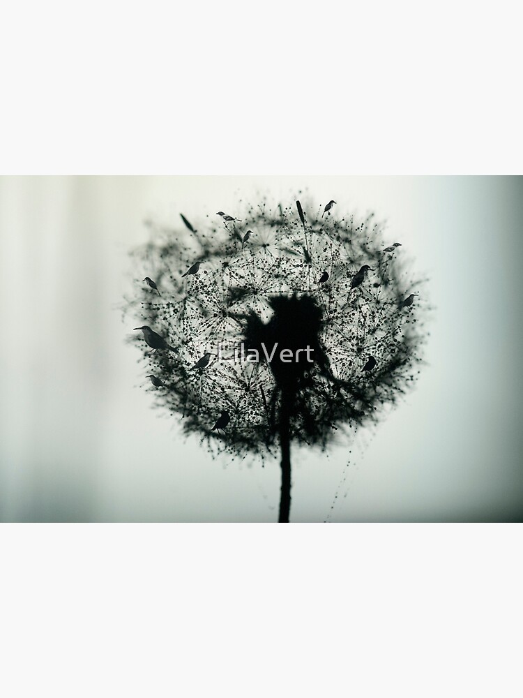 Dandelion Birds photographic by LilaVert