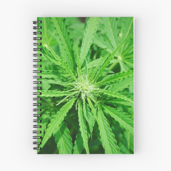 Item preview, Marijuana Cannabis Weed Pot Plant designed and sold by MarijuanaTshirt.