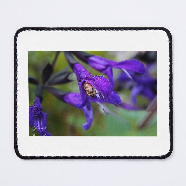 Item preview, Ope! designed and sold by JordsEyePhoto.