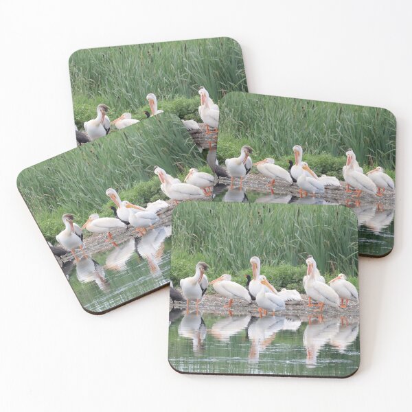 Item preview, Pelicans and Cormorants designed and sold by Alyce Taylor.
