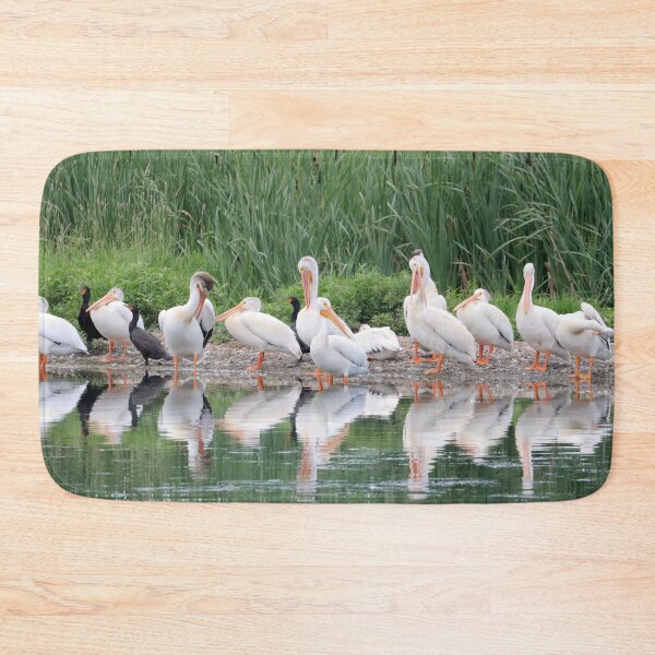 Item preview, Pelicans and Cormorants designed and sold by Alyce Taylor.