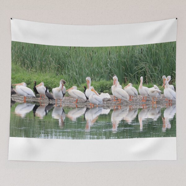 Item preview, Pelicans and Cormorants designed and sold by Alyce Taylor.
