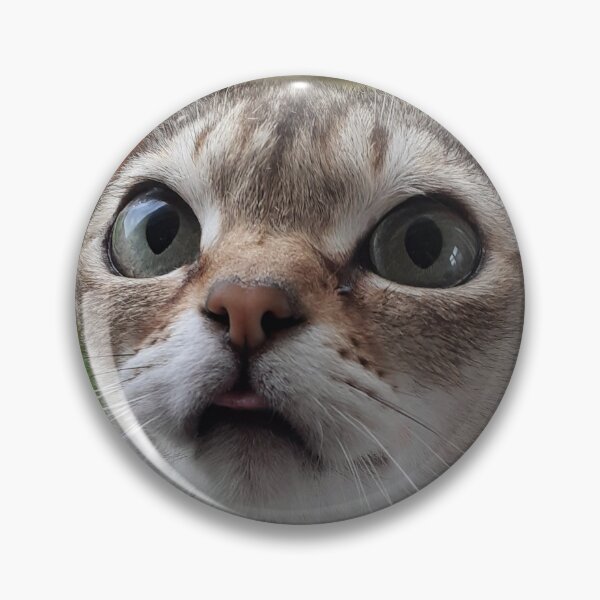 Item preview, Speedball blep designed and sold by Cat-yawns.