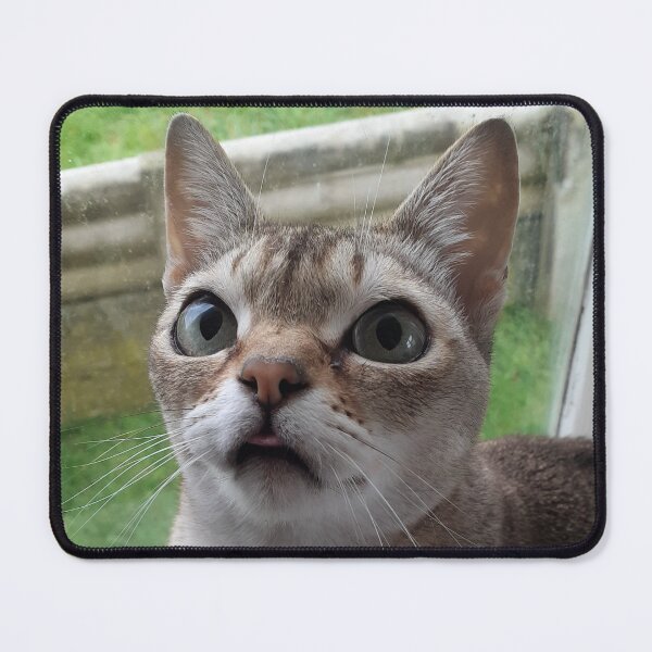 Item preview, Speedball blep designed and sold by Cat-yawns.