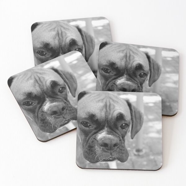 Item preview, Dino the Boxer.. sad day designed and sold by Evita.